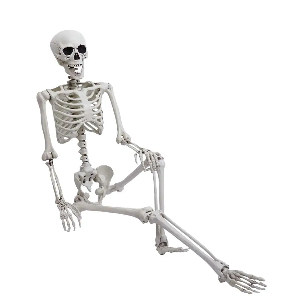 Grote Menselijke Skeletten Halloween Rekwisieten Levensgrote Full Body Menselijke Beweegbare Skeletten Halloween Tuindecoraties