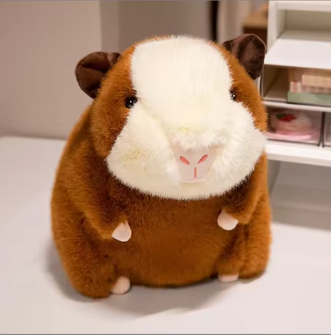 Brown guinea pig