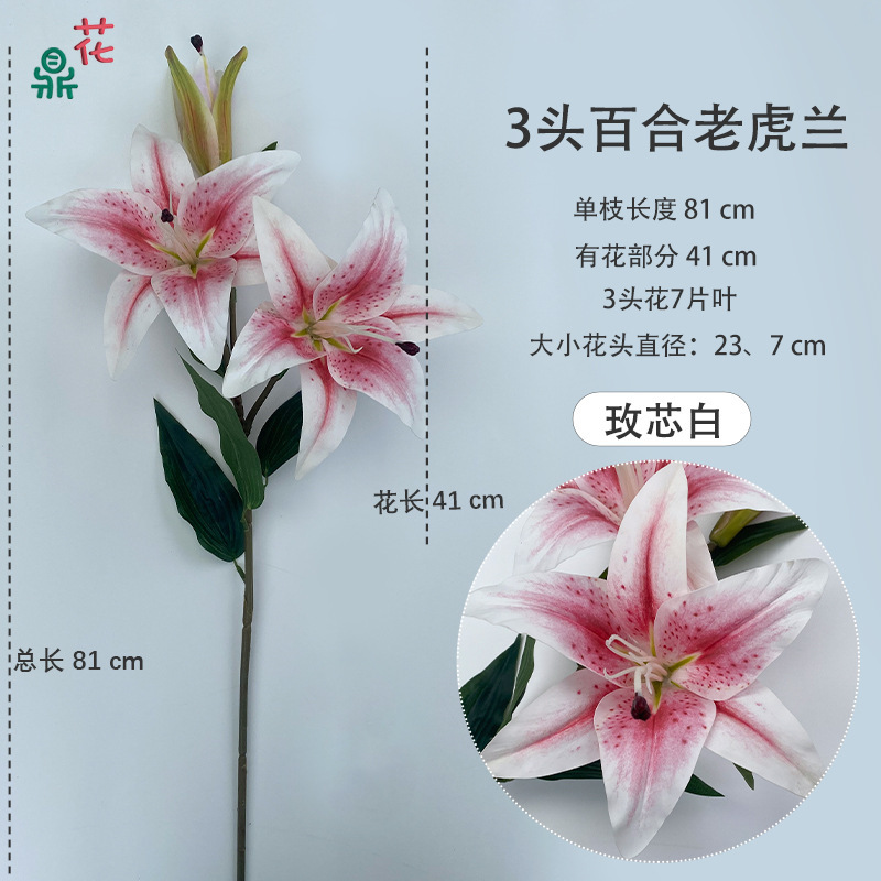 Orchidée tigre lys à 3 têtes, blanche centrée sur la rose