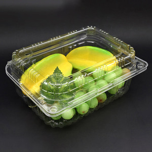 Пластиковая прямоугольная упаковочная коробка с откидной крышкой - Product Image 4