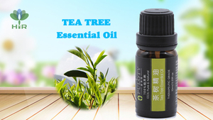 Özel etiket özelleştirmek 1/3 oz MELALEUCA ALTERNIFOLIA uçucu yağ cilt bakımı 10ml çay ağacı yağı - Product Image 4