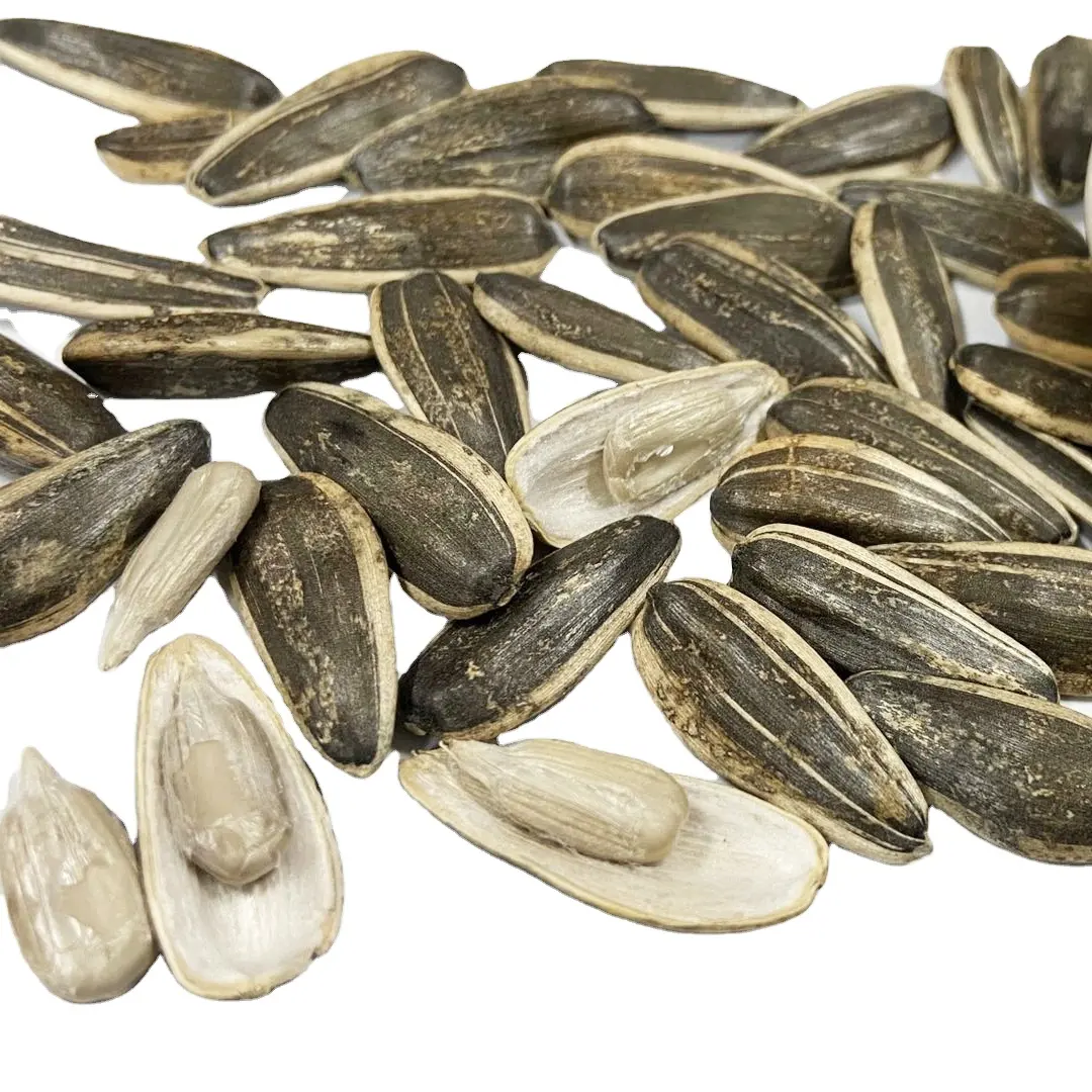 Premium Quality Bulk Large Original Taste Black organic Sunflower seeds for sell