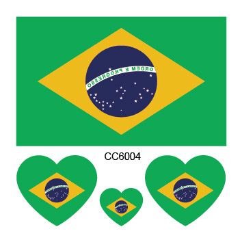 CC6004