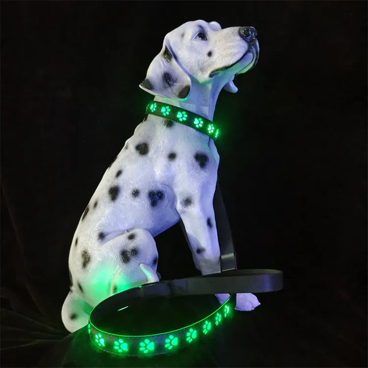 طوق كلب مضيء LED متوهج سلامة طوق حيوان أليف طقم طوق ومقود كلب