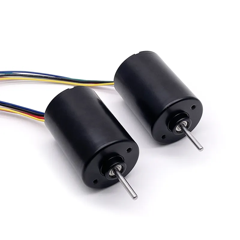 TT Factory Proveedor mayorista 36mm alto RPM BLDC motor para cortacésped 12V 24V Motor de CC sin escobillas con controlador