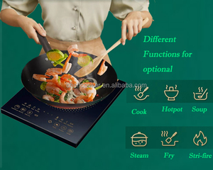 220v mesa de toque controle de vapor único ovo 1 cooktop queimador <span class=keywords><strong>multi</strong></span> cozinhar fogão de indução