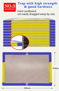 Strong Adhesive <strong>Mouse</strong> Board (21 * 15cm), with Strong Adhesion, Suitable for Home Rodent Control Use,<strong>mice</strong> Control - Product Image 4