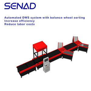 Factory Price DWS <strong>Automatic</strong> Conveyor Belt <strong>Loaded</strong> DWS Sorting <strong>System</strong> Used for Express Logistics Warehouse Dynamic DWS <strong>System</strong>