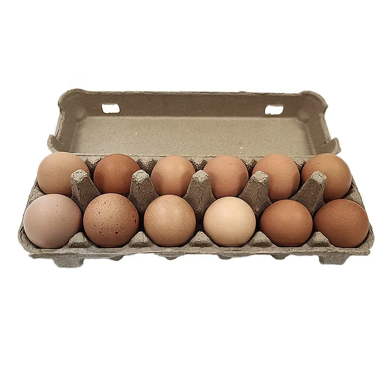 Cajas de embalaje de huevos respetuosas con el medio ambiente, cartón de papel Mache Biodegradable, caja de pulpa moldeada reciclada, bandeja para tartas y huevos