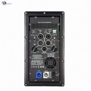 2022 amplificador de potencia Digital Popular interfaz XLR profesional entrada clase D módulo amplificador de potencia 1000W - Product Image 1