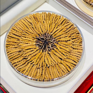 Hữu cơ khô dong trung ha thao Top Grade Cordyceps Sinensis tinh khiết Hoang Dã Tây Tạng Cordyceps Sinensis - Product Image 4