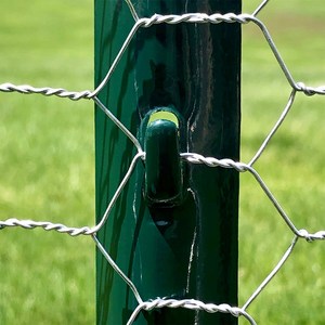 Rete metallica esagonale galvanizzata del rivestimento del PVC della rete metallica del collegamento a catena del bestiame per il pollame e l'azienda agricola - Product Image 5