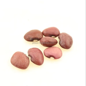 <strong>India</strong> Market Dark Red <strong>Kidney</strong> Bean Type Dried Small Red <strong>Kidney</strong> Bean - Product Image 2