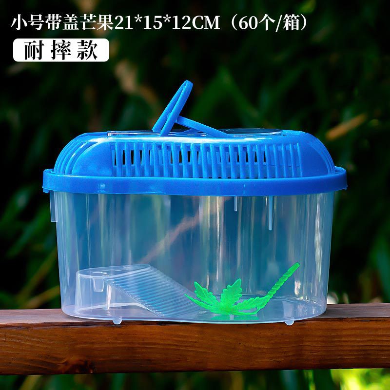 Petite boîte à mangues en pp incassable-211512cm-60pcs par boîte