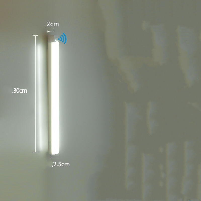 30cm white light, induction switch, 1W