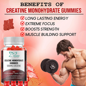 חם מוכר שריר צמיחה creatine monohydrate אימון תוספת שיפור כוח וכוח עבור נשים גברים