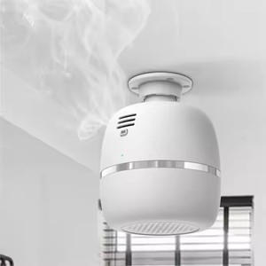 Benutzer definiertes Logo Wand-Ultraschall-Luftbe feuchter Aroma diffusor 1-jähriger elektrischer Decken diffusor für langlebige Hotels - Product Image 1