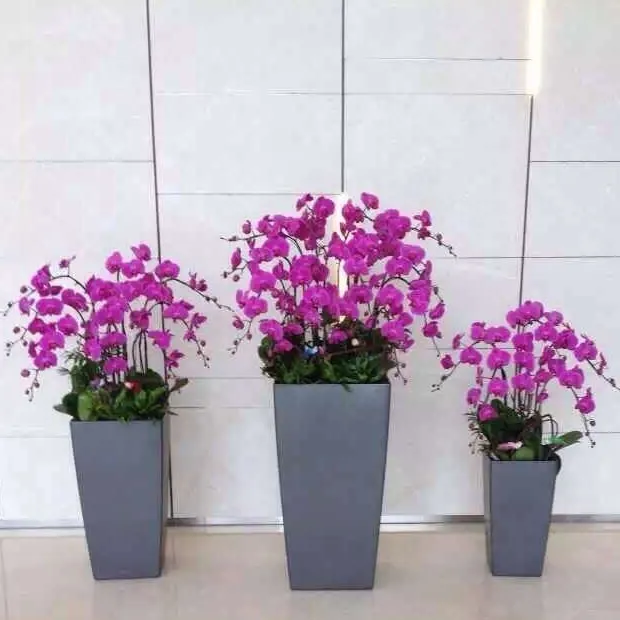 Pot de plantes pour piano, pot de fleurs de petite taille pour bureau, salon, cuisine, jardinière de jardin