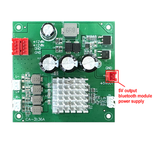 CA-3136A Professional Digital Audio <strong>Amplifier</strong> Module 8-24V <strong>Input</strong> 5V <strong>Output</strong> 2*50W TPA3116 <strong>Amplifier</strong> Board - Product Image 2