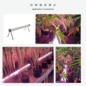 IP66 per il controllo completo dello spettro di 4 piedi 120W sotto il baldacchino ha portato a crescere la luce piante mediche Indoor verticale agricoltura installazione veloce - Product Image 6