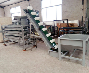 Máquina de craqueo y clasificación de nueces de macadaia, máquina de eliminación de trituración de carcasa de nogal - Product Image 6