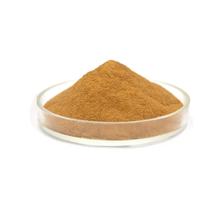 Goede Kwaliteit 10% 30% Polysacchariden Sang Hwang Champignon Extract Poeder