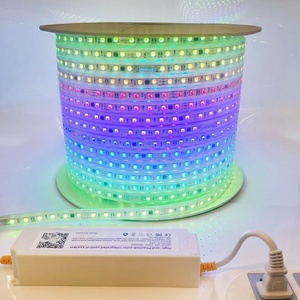 シングルロウ防水RGB LEDストリップライトストリング5mフレキシブルスマートPVC PCB音声およびアプリコントロールIP67定格 - Product Image 5