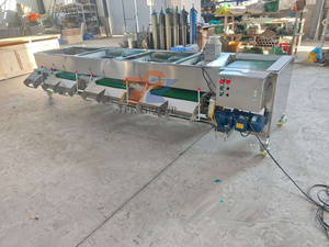 Automatic Fruit <strong>Classifier</strong> Machine Fresh Blueberry Sorting Machine Blueberry Grading Sorting Machine - Product Image 4