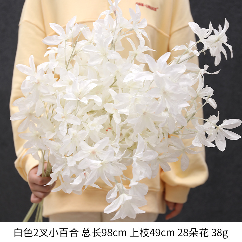 2 forchette lampadina giglio (Cymbidium hookerianum) bianco