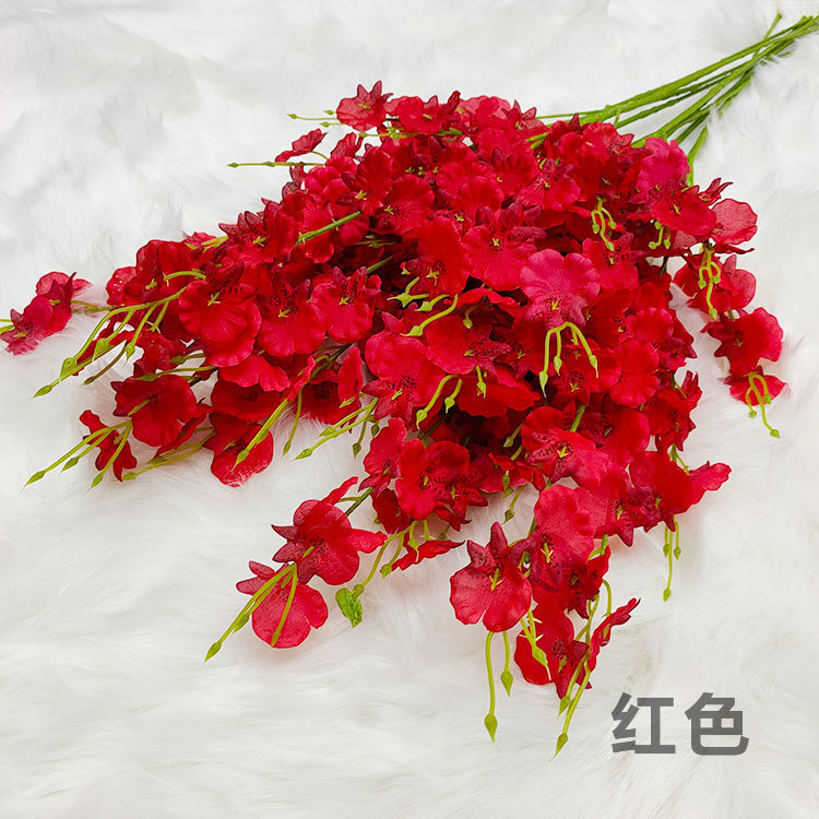 Orchidée dansante rouge