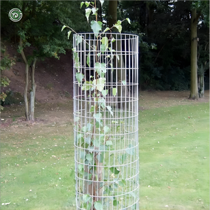 1.5m Welded <strong>Mesh</strong> <strong>Tree</strong> <strong>Guard</strong> Metal Welded Wire <strong>Mesh</strong> <strong>Tree</strong> <strong>Guard</strong> 60&quot; Welded <strong>Mesh</strong> <strong>Tree</strong> <strong>Guard</strong> - Product Image 4