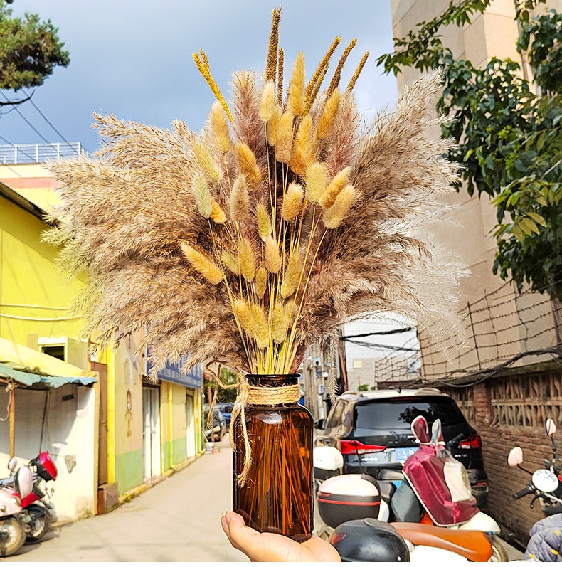 #3 Bouquet d'herbe de pampa