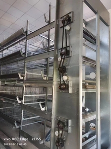 H Type <strong>3</strong> Tiers <strong>Chicken</strong> Pens and Welded Wire Mesh Galvanized <strong>Chicken</strong> Cage With Automatic Control System for <strong>Chicken</strong> House - Product Image 5