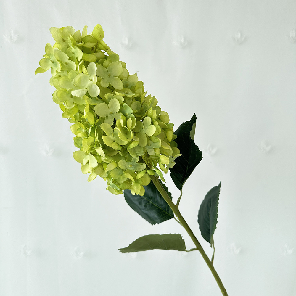 Hortensia cónica verde