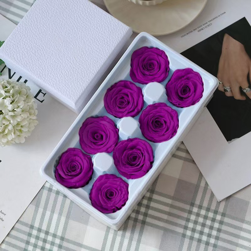 Pourpre