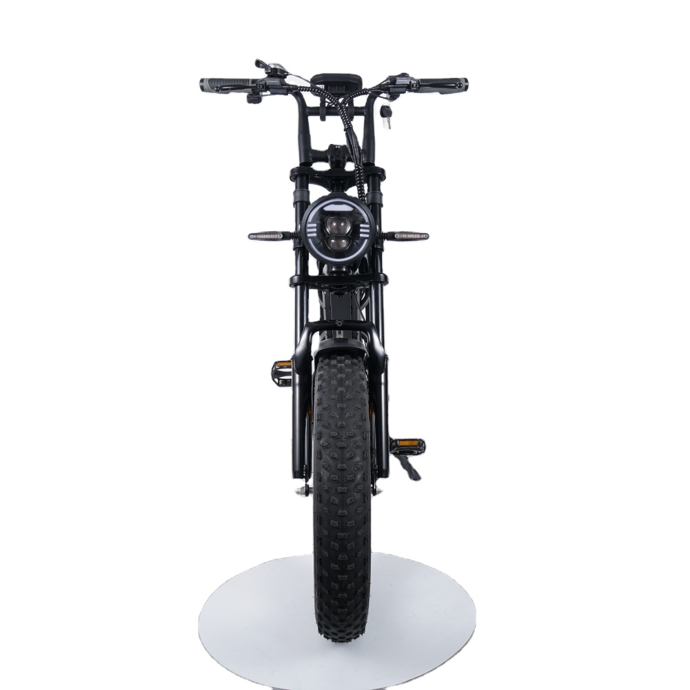 V60 Fatbike-Black E-bike