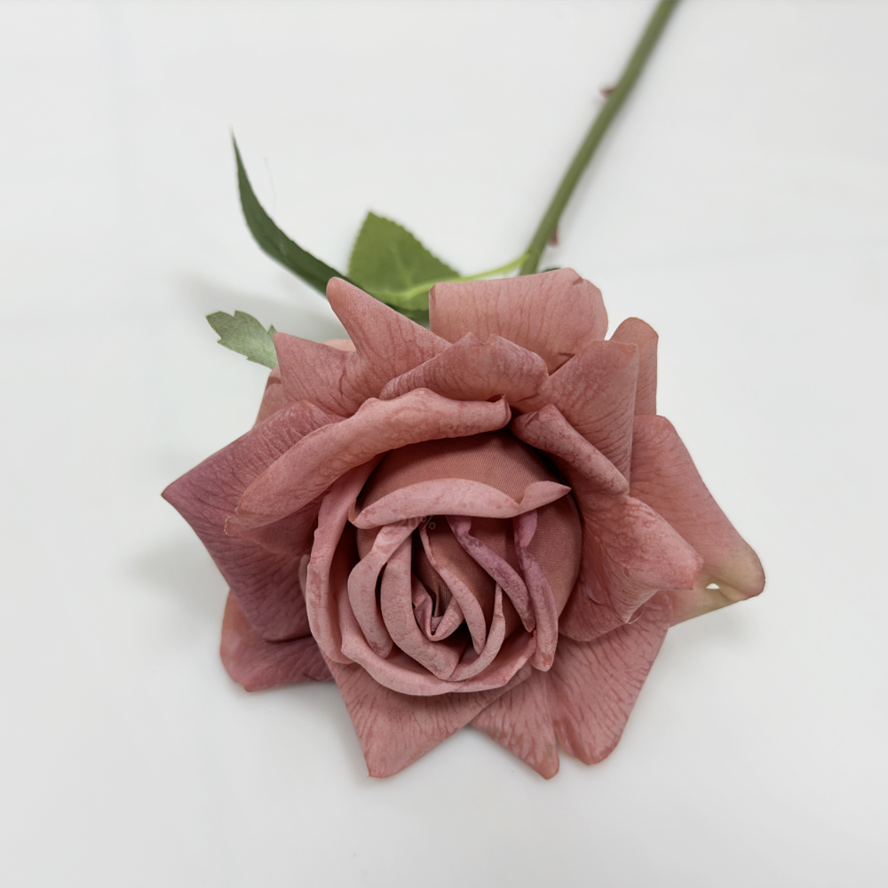 Marron Rose
