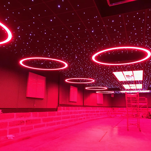 ไฟวงแหวนทรงกลม LED LC6080-1060สี RGBW คุณสมบัติเฉพาะรัศมีที่เป็นที่นิยมมากที่สุด - Product Image 6