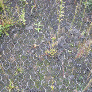 <strong>Hexagonal</strong> Wire Mesh Mike Pads Reinforced Mike Mat Three-dimension Geomat - Product Image 6