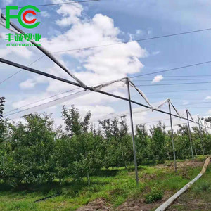 Hot Bán Chống-Lão Hóa Nhựa <span class=keywords><strong>Bird</strong></span> Net Hiệu Quả Cho Bắt Chim Hoang Dã Mưa Đá Cắt Dịch Vụ Chế Biến Có Sẵn - Product Image 6