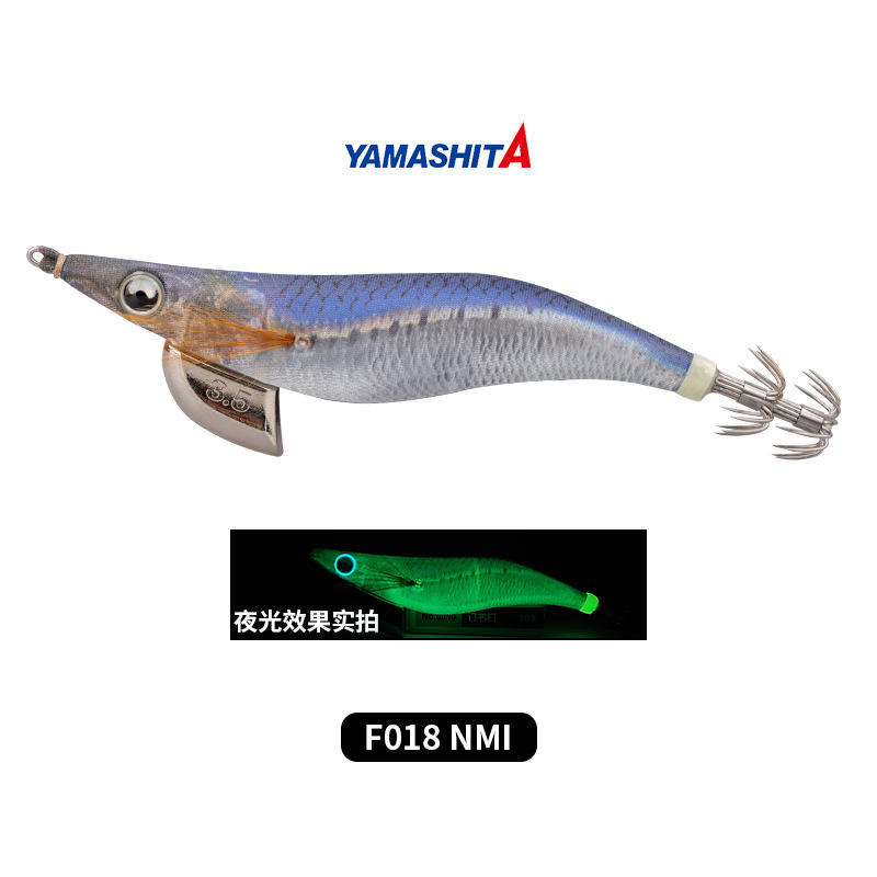 F018 NMI