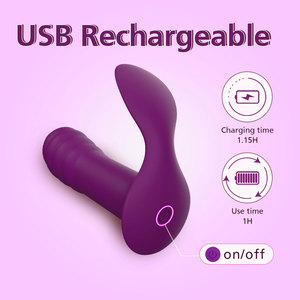 Draagbare Vrouwen Dubbele Stimulatie Vibrator Met Afstandsbediening Draadloze Clitoral & G Spot Siliconen Seksspeeltjesfabriek - Product Image 4