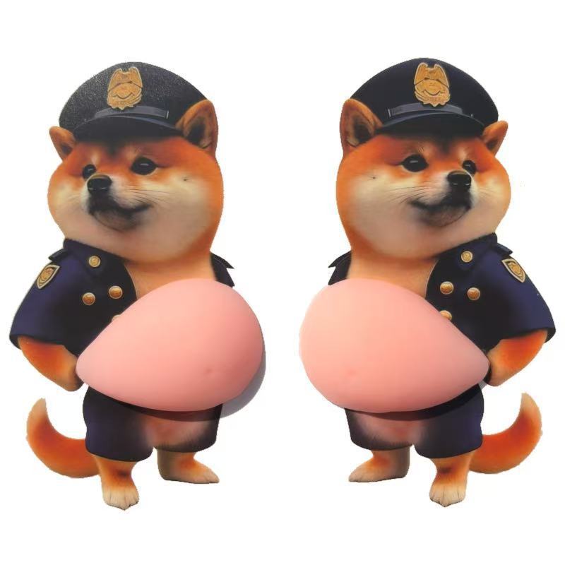Une paire de chiens shiba essuyant la police