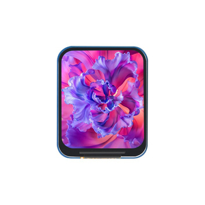 1,69 Zoll LCD-Anzeige modul 240x280 Auflösung SPI-Schnitts telle IPS 262K Farben für Raspberry Pi - Product Image 1
