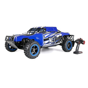 プロの趣味グレードRofun WLT450 1:5スケール4WD 45CC 2ストロークエンジン2.4GhzリモートコントロールガソリントラックRCニトロバギー - Product Image 3