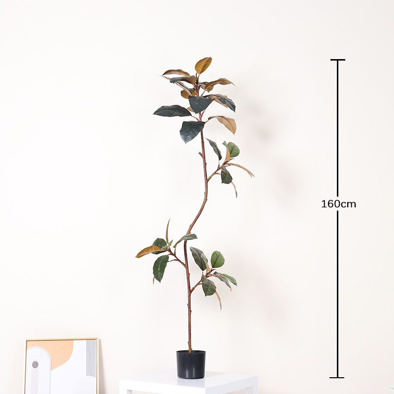 160cm