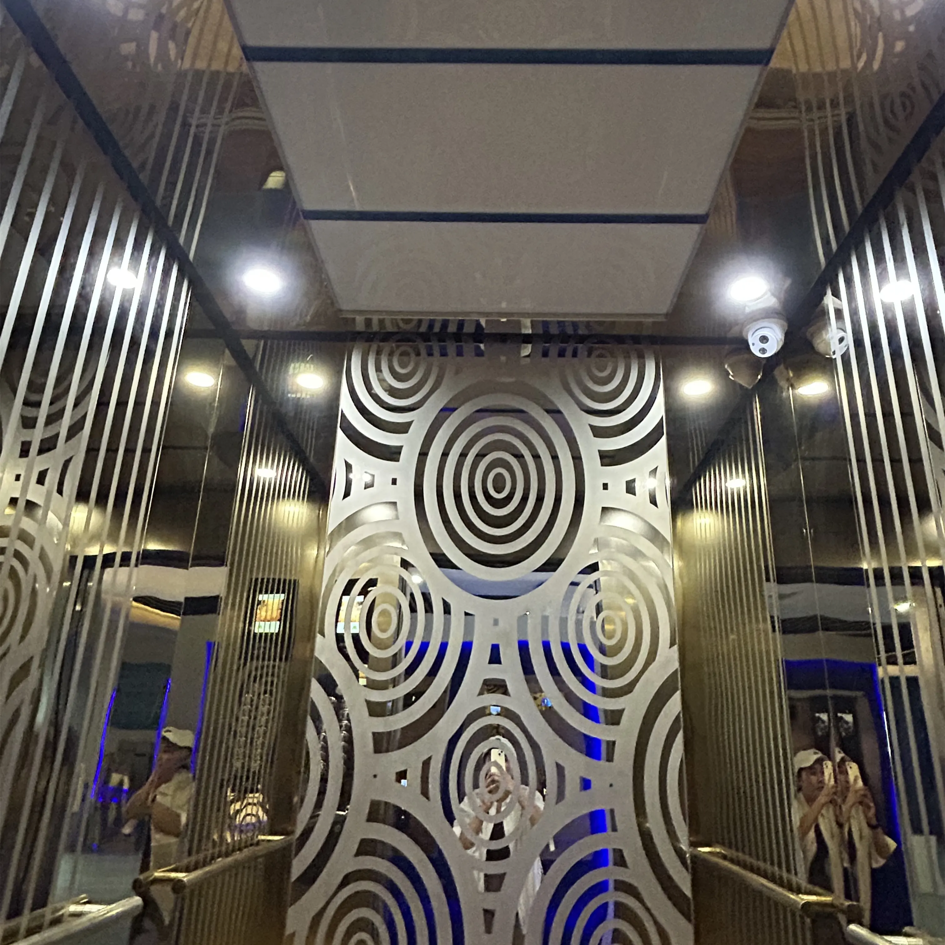 Elevador doméstico de ascensor de pasajeros grabado con espejo de lujo para uso comercial o residencial