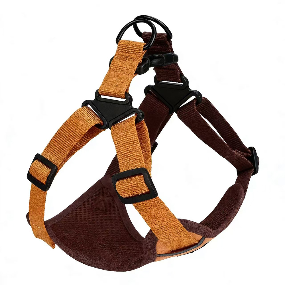 Amber Yellow & Espresso Brown
