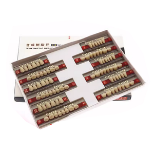 Denti Sintetici in Resina Acrilica a Due Strati Multicolore per Arcata Inferiore Anteriore all'Ingrosso - Product Image 3