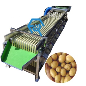 Selezionatrice automatica di frutta di tipo orbitale macchina di classificazione delle dimensioni del lampone della fragola del mirtillo nessun danno per la pelle della frutta - Product Image 2